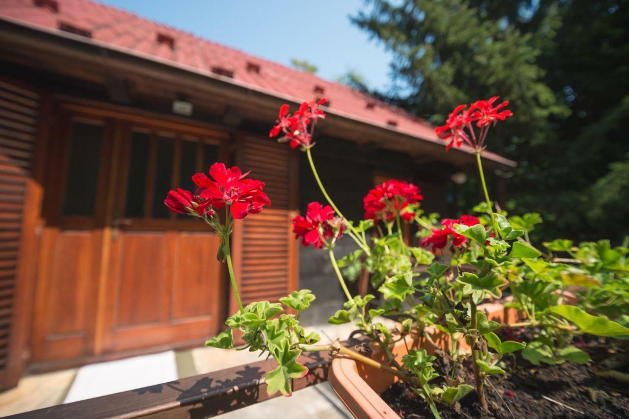 Cabin In The Woods Vukelic Stubicke Toplice ภายนอก รูปภาพ